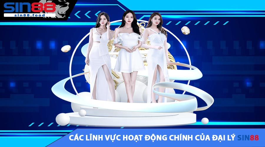 Các Lĩnh Vực Hoạt Động Chính Của Đại Lý SIN88