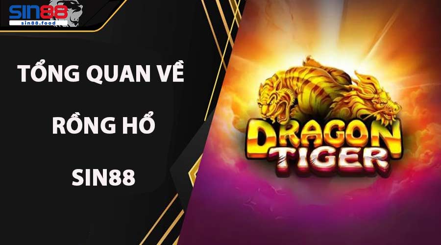 Tổng quan về Rồng Hổ SIN88
